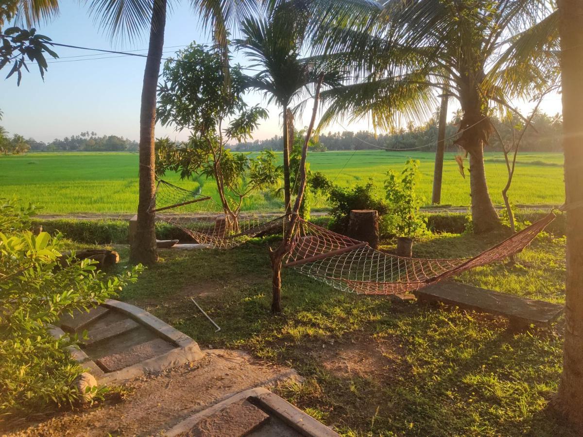 Village Mango Resort Yala Tissamaharama Exterior photo