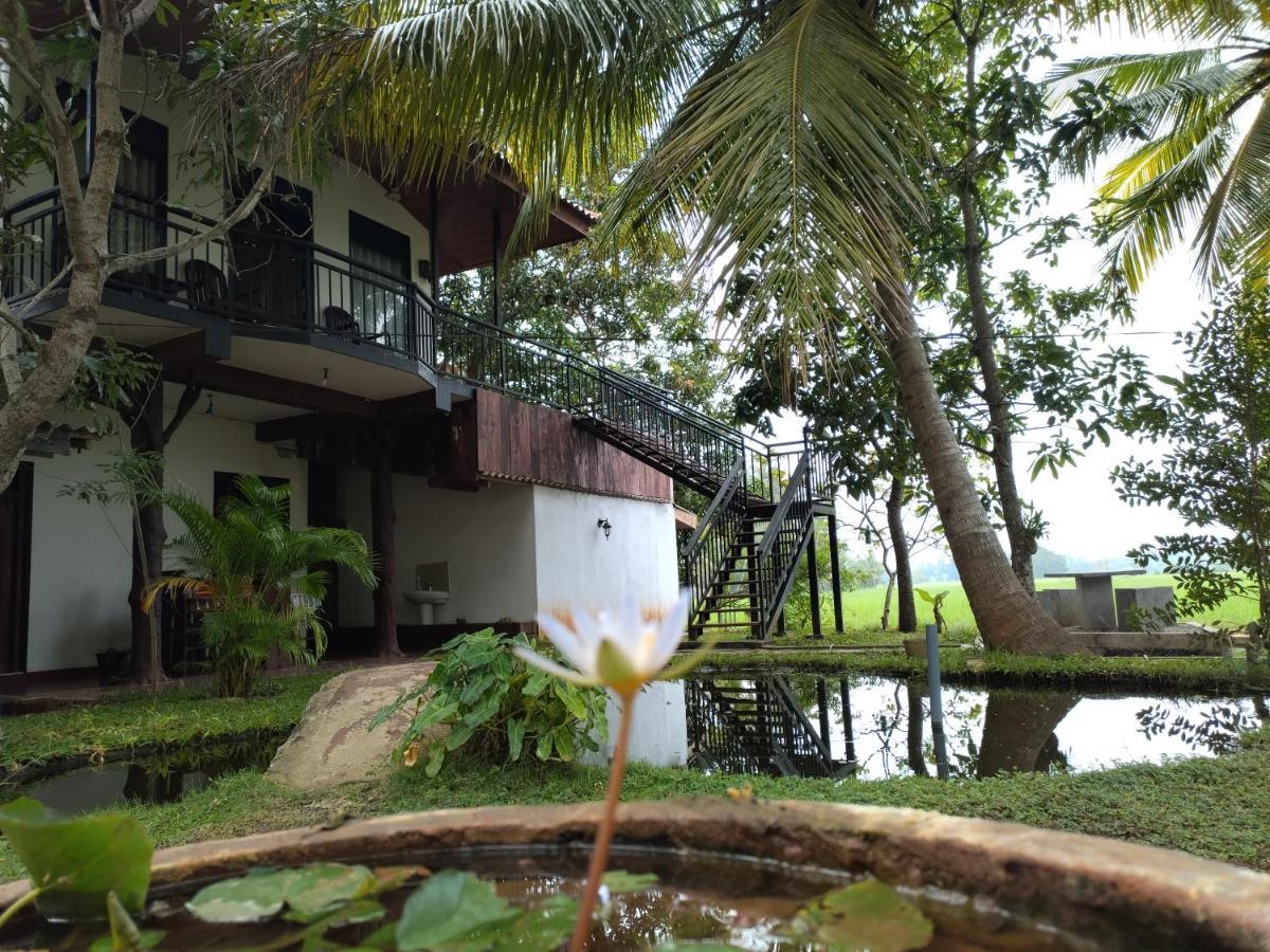 Village Mango Resort Yala Tissamaharama Exterior photo